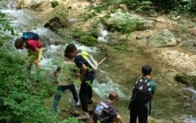 Image du projet ATE: rivière vivante, la Barberolle   