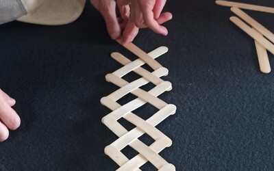 Image du projet "Cerveaux à bord et réactions en chaîne"