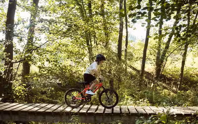 Image du projet Direction la forêt de Tronçais en VTT pour les CM1-CM2 de Cosne d'Allier
