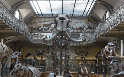 Image du projet Anduze, en route pour Paris