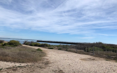 Image du projet AME - Découverte de notre littoral