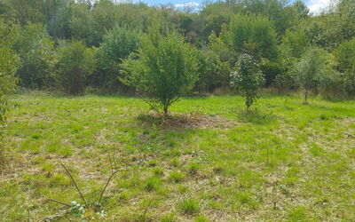 Image du projet Condorcet à la découverte des Garennes