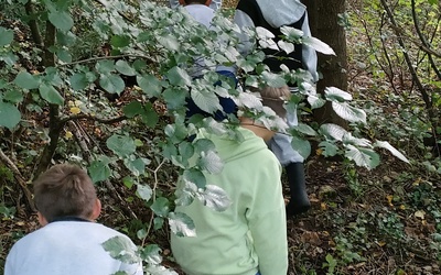 Image du projet ATE - Le Bois du Cruchet 