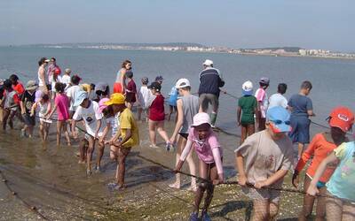 Image du projet Les MS et les CM1 CM2 partent en classe de mer