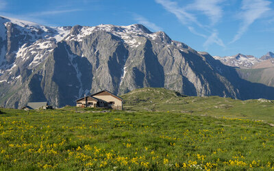 Image du projet Voyage géologique dans les Alpes