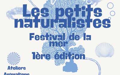 Image du projet Organisation d'un festival de la mer