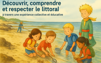 Image du projet Vent, sable et coquillages