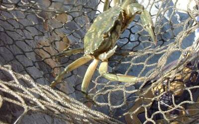 Image du projet Découverte du milieu marin et du patrimoine