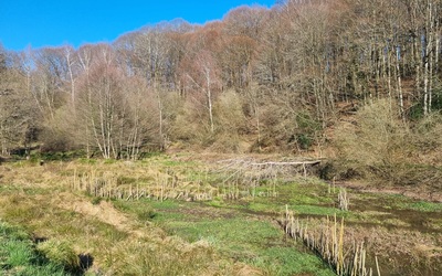 Image du projet ATE les élèves de 4ème au ruisseau de Congorbe