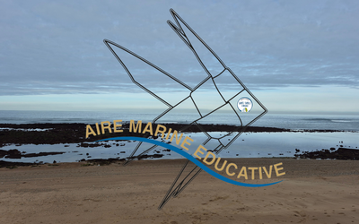 Image du projet AME la relève des Super Ecol'eaux