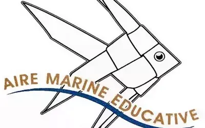 Image du projet Aire Educative de l'école Docteur Calmette - Vannes