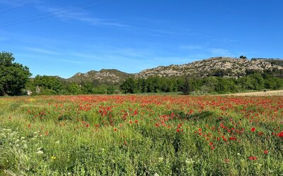 Image du projet Séjour nature au coeur de la Provence