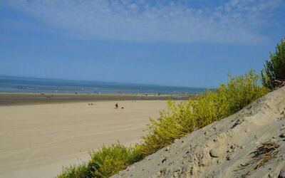 Image du projet CLASSE DE MER: Préservons et protégeons la côte d'Opale