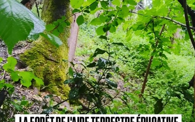 Image du projet Poursuite de l'aire terrestre éducative de l'école Sibuet à Mions