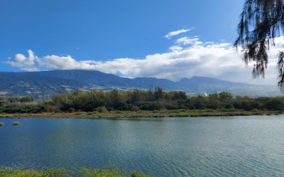 Image du projet Aire éducativeL'Etang du gol/Zac Avenir