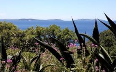 Image du projet Classe verte nature GS