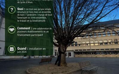 Image du projet Autour de mon arbre