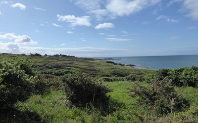 Image du projet Classe de mer des CM1/CM2 de Novéant à Riec-sur-Belon