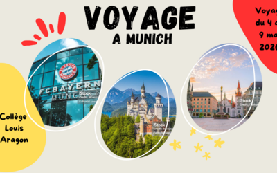 Image du projet De Torcy à Munich