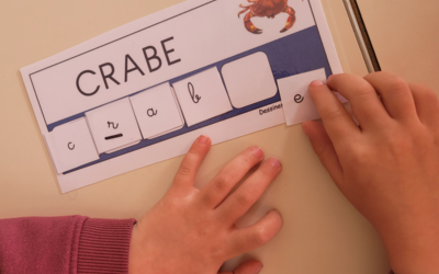 Image du projet Découverte du littoral vendéen pour les élèves de Grande Section de Saint-Denis