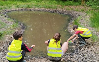 Image du projet La mare au cœur de la forêt - ATE de l'école de Destord CM1 - CM2