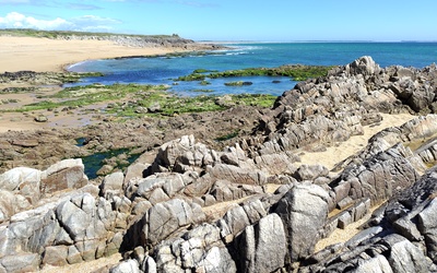 Image du projet Les CP et CE1 au bord de la mer