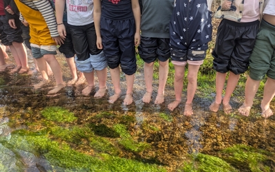 Image du projet A l'école de la nature - Ecole Les Breuchottes