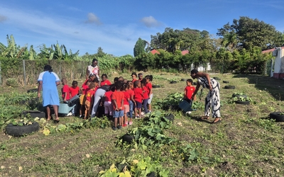 Image du projet PS-MS-GS : Les coccinelles à la rencontre des Agénor Beaujour ! Unis dans le jardin, semons l'amitié, cultivons la réussite !