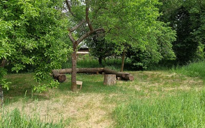 Image du projet L'école du dehors pour le respect de la biodiversité
