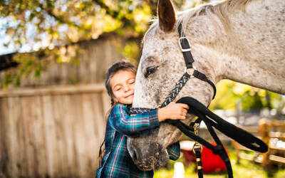 Image du projet Poney Ecole des GS de l'Ecole Michel Debré