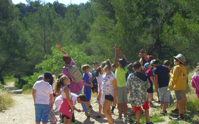 Image du projet UNE AIRE TERRESTRE EDUCATIVE POUR NOTRE MONTAGNETTE  A BOULBON !