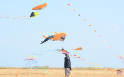 Image du projet Pour une première fois à la mer ! (CE2/CM1/CM2)