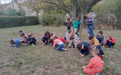 Image du projet ATE Caudiès de Fenouillèdes