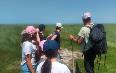 Image du projet Aire Marine Educative, Ecole Le Vivier sur Mer