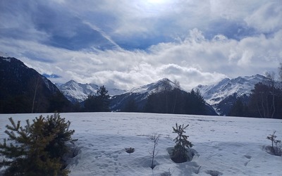 Image du projet Classe de ski "Au pays des loups" à Val Cenis