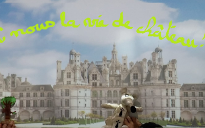 Image du projet A nous la vie de château !