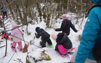 Image du projet Les maternelles de Floréal Tullins découvrent  la  forêt en montagne
