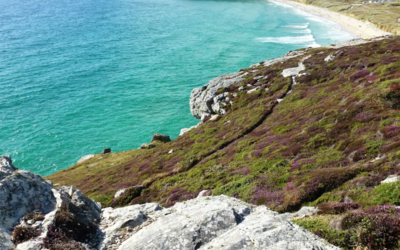 Image du projet La classe de Mer des CE1-CE2 