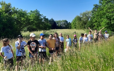 Image du projet Sur le chemin de la biodiversité