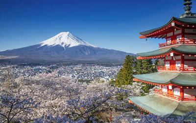 Image du projet Voyage linguistique au Japon en famille d'accueil - Simone Veil 2026 LVC