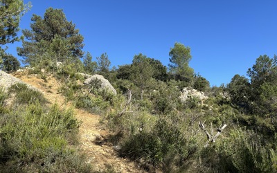 Image du projet Les CP et CE1 en classe nature 