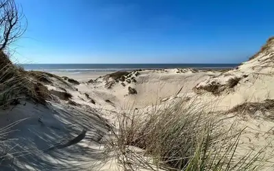 Image du projet Classe de mer	Ecole Jean Jaurès