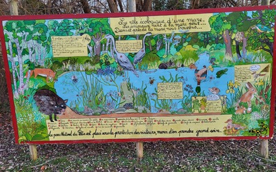 Image du projet Grosse Pierre vit la biodiversité
