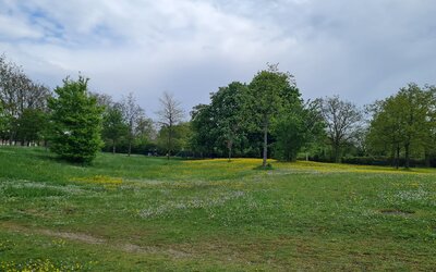 Image du projet ATE La biodiversité autour de l'Aisne, à Soissons