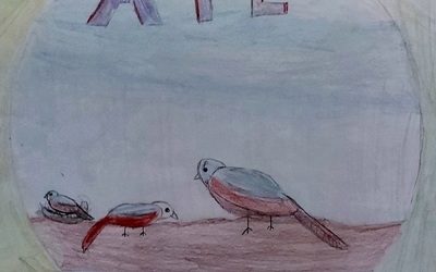 Image du projet ATE le Tournant des Iles