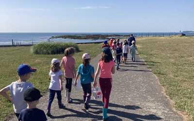 Image du projet CP et CM de l'école Quentin Barré à Larmor-Plage