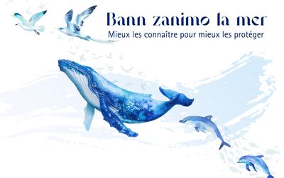 Image du projet Bann zanimo la mer : Mieux les connaitre pour mieux les protéger