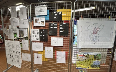 Image du projet ATE "Le chemin des petits explorateurs" Tulle Clément Chausson