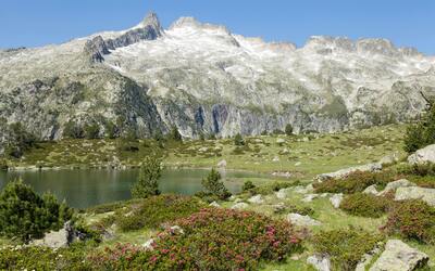 Image du projet Séjour découverte à Campan (65) du 13 au 16 mai 2026