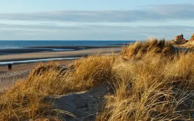 Image du projet Classe de Mer à Boulogne sur Mer